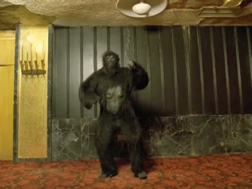 Gorilla Dancing Music Video GIF