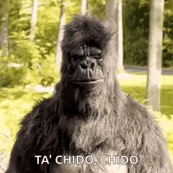 Gorilla Dancing Thumbs Up GIF