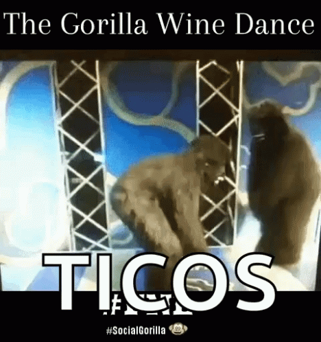 Gorilla Dancing Wine Ticos GIF