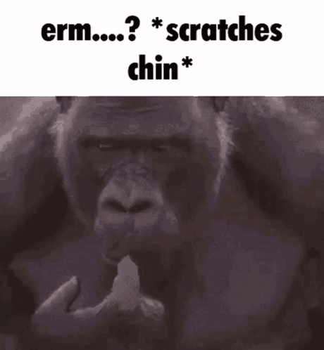 Gorilla Eating Banana Erm Scratches Chin