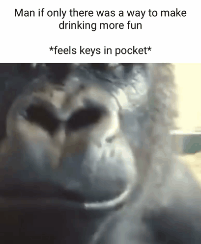 Gorilla Face Saying Man If Only There Was a Way To Make Drinking More Fun