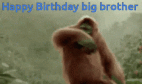 Gorilla Happy Birthday Bro GIF