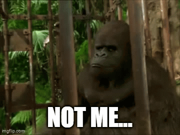 Gorilla In Cage Saying Not Me GIF