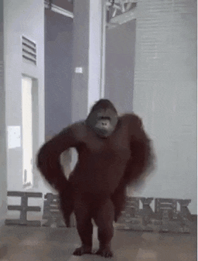 Gorilla in Front of King Kong Sign