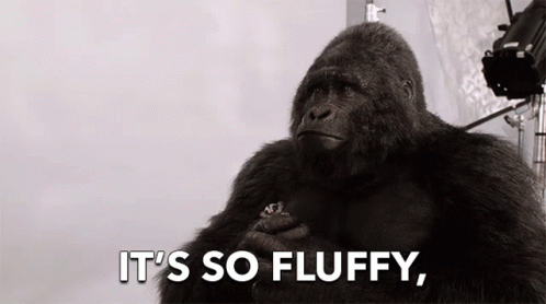 Gorilla It's So Fluffy