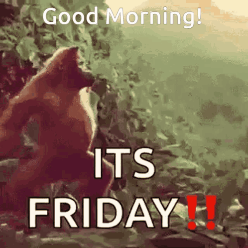 Gorilla Saying Good Morning Its Friday GIF
