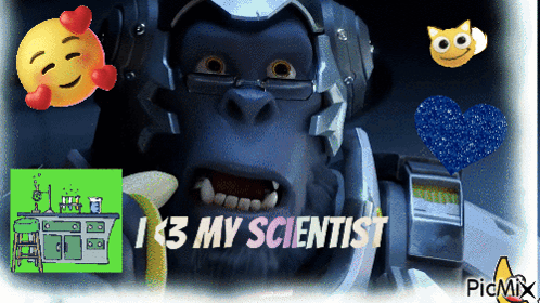 Gorilla Saying I K3 My Scientist GIF