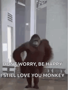 Gorilla Says Don't Worry Be Happy Still Love You
