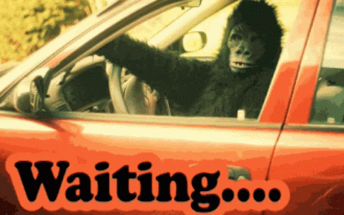 Gorilla Sitting in Red Car Saying Waiting