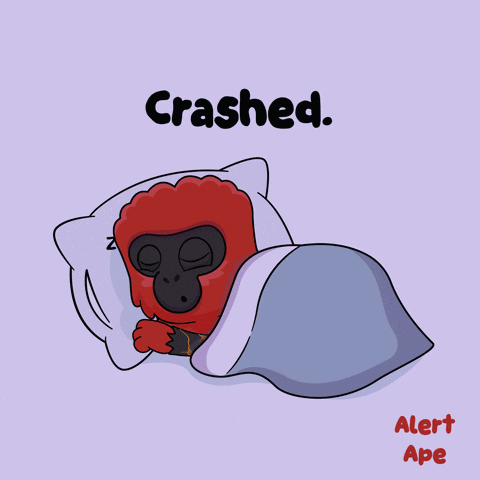 Gorilla Sleeping Under Blanket Crashed