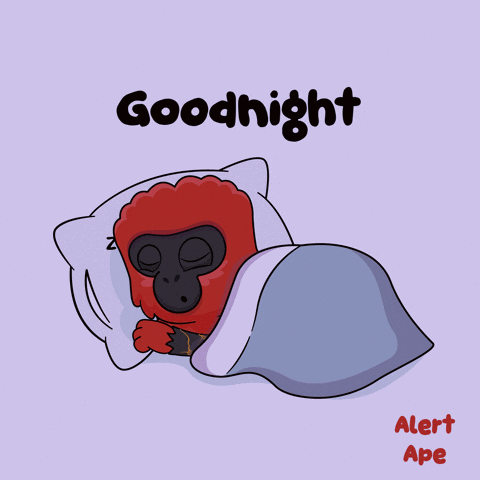Gorilla Sleeping Under Blanket Goodnight Alert Ape