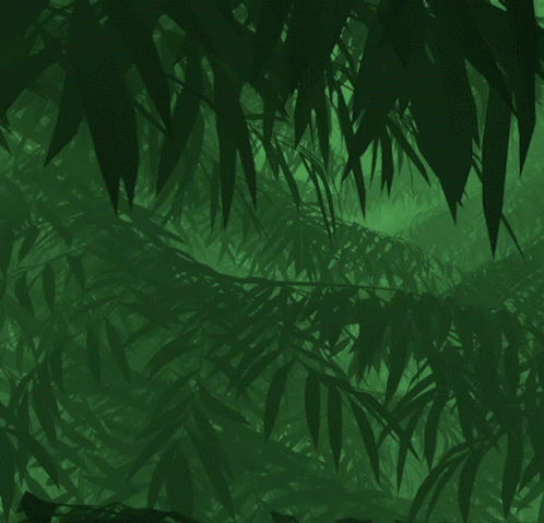 Gorilla Standing In Jungle GIF