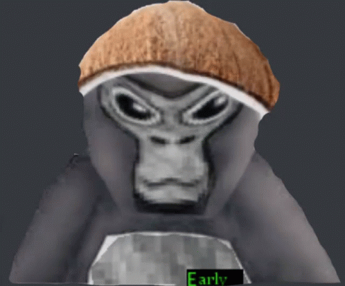 Early Gorilla Tag With His Rainbow Hat GIF