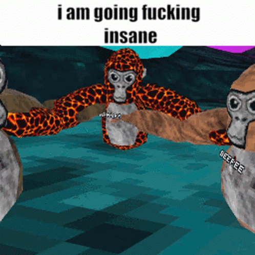 Gorilla Tag Group Feels Like Crazy GIF