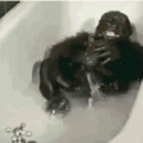 Gorilla Taking a Bath With Foam
