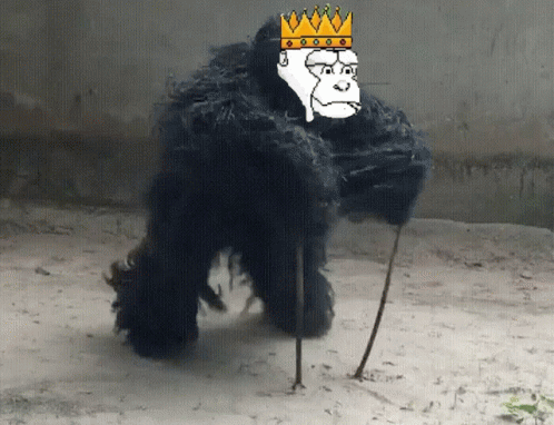 Gorilla Wearing Crown