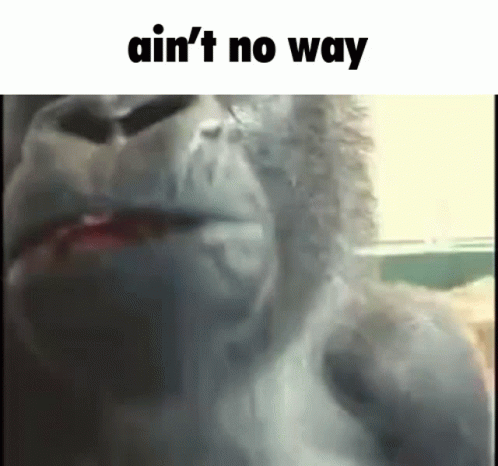 Gorilla With Ain't No Way Text