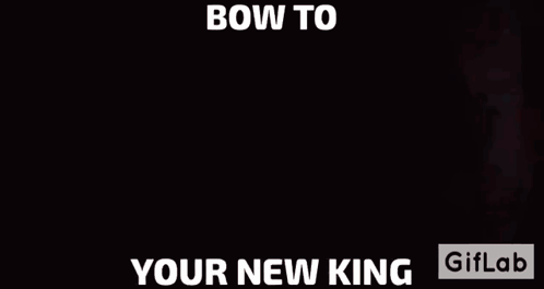 Gorilla With Bow to Your New King