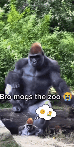 Gorilla With Bro Mogs Thought Bubble GIF