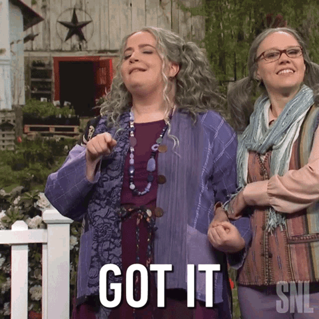 Got It Aidy Bryant Gif GIF