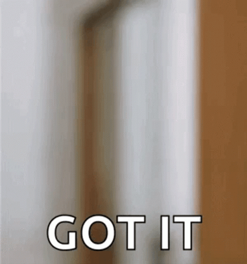Got It GIF