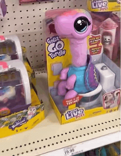 Gotta Go Turtle Toy on Shelf