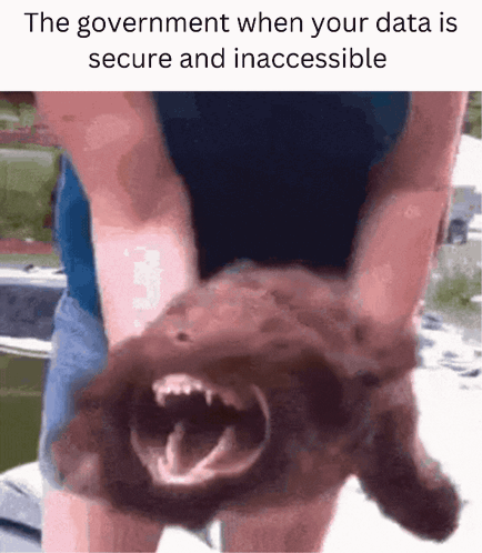 Government When Your Data Secure And Inaccessible GIF