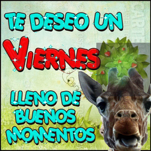 Gracias A Dios Es Viernes 500 X 500 Gif GIF