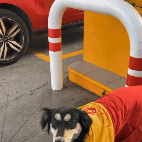 Gracias Lsm 480 X 480 Gif GIF