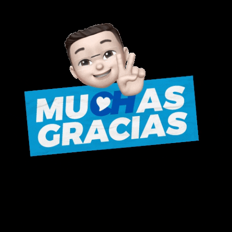 Gracias Lsm 480 X 480 Gif GIF