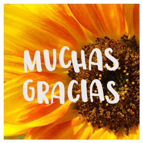 Gracias Lsm GIF