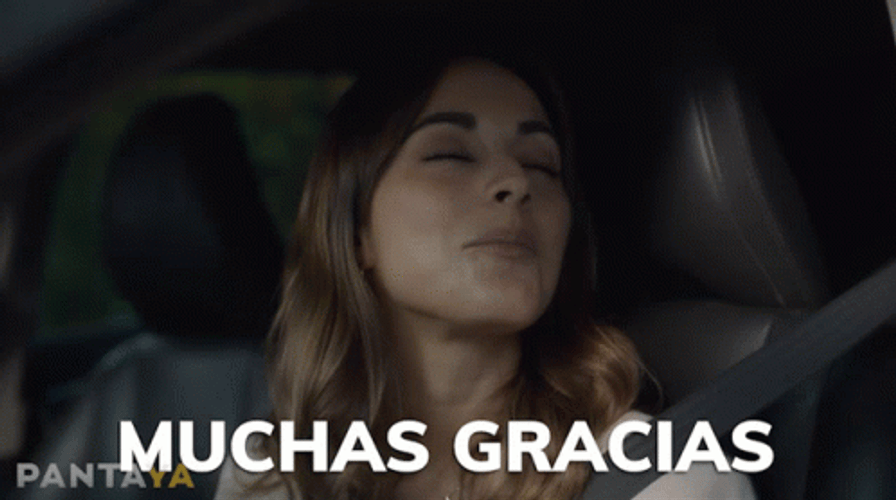 Gracias Meme GIF