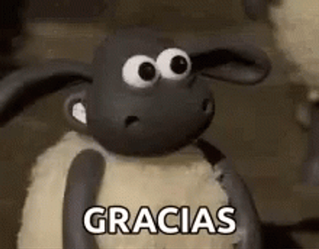 Gracias Meme GIF