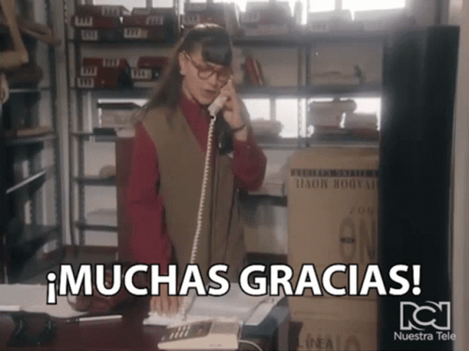 Gracias Meme GIF