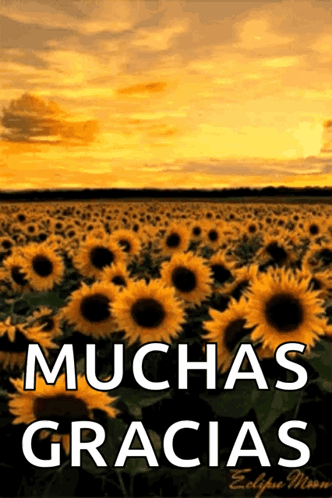 Gracias Totales 332 X 498 Gif GIF
