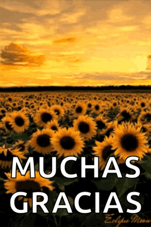 Gracias Totales GIF