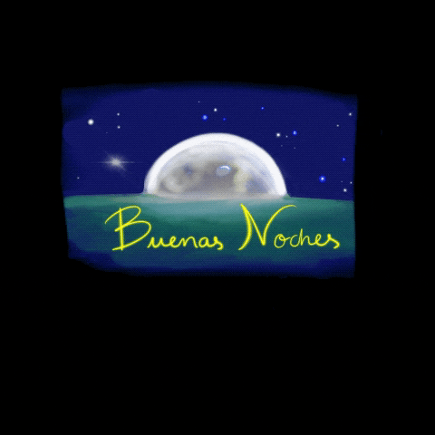 Gracioso Humor Buenas Noches 480 X 480 Gif GIF