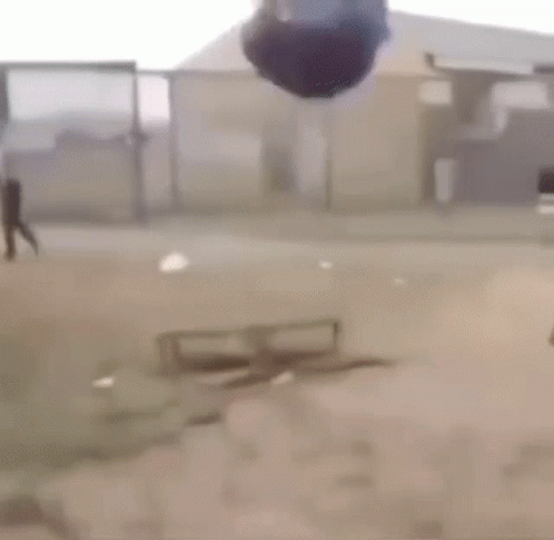 Gracioso Humor Buenas Noches 498 X 485 Gif GIF