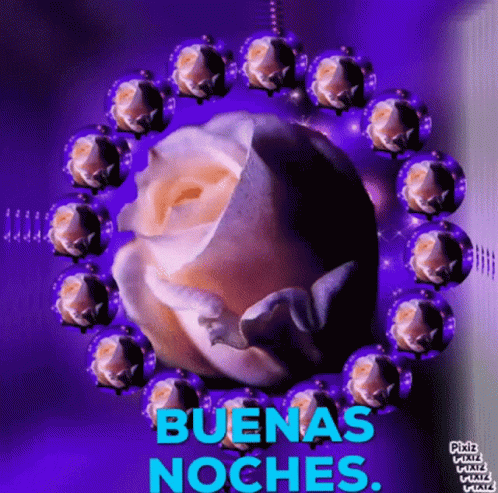 Gracioso Humor Buenas Noches 498 X 493 Gif GIF