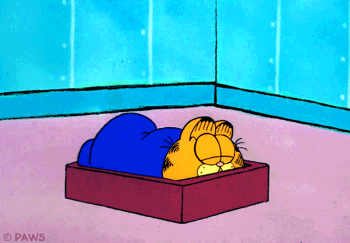 Gracioso Humor Buenas Noches GIF