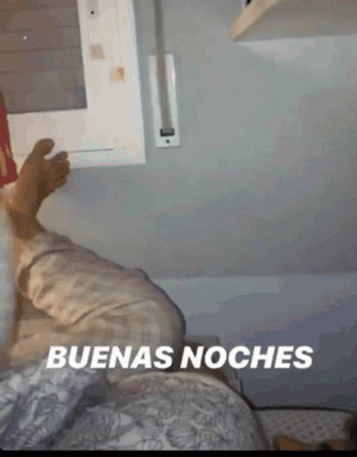 Gracioso Humor Buenas Noches GIF