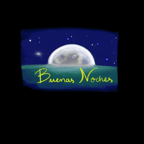 Gracioso Humor Buenas Noches GIF