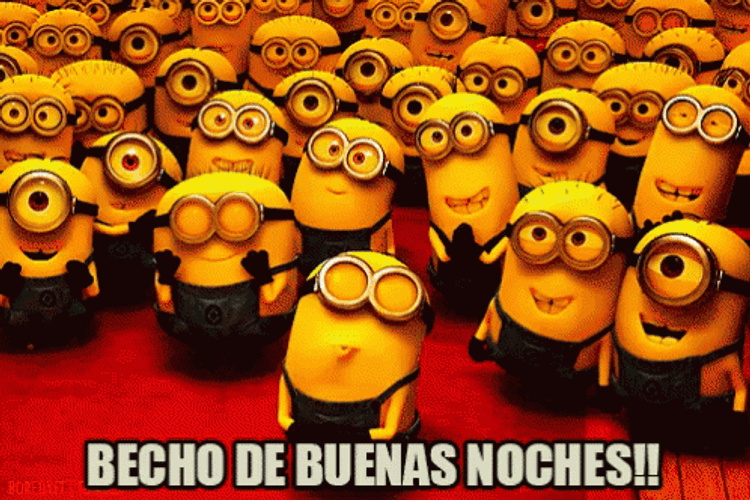 Gracioso Humor Buenas Noches GIF
