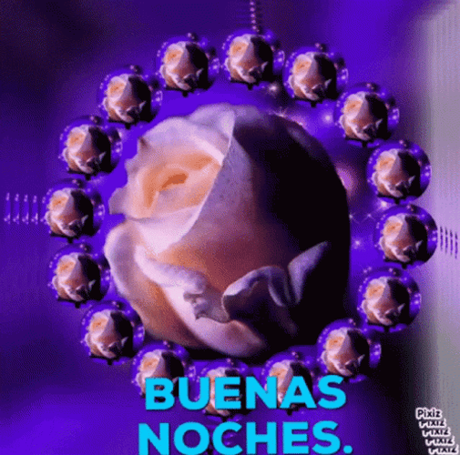 Gracioso Humor Buenas Noches GIF