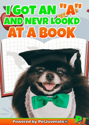 Grad Dog Bow Tie I Got an A