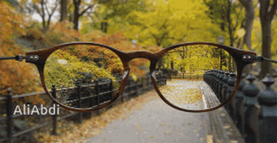 Graded Glasses  GIF