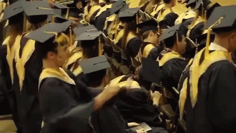 Graduates Sitting In A Row With Caps GIF
