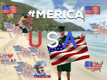 Graduation Cap Man Holding Flag Beach Merica USA GIF