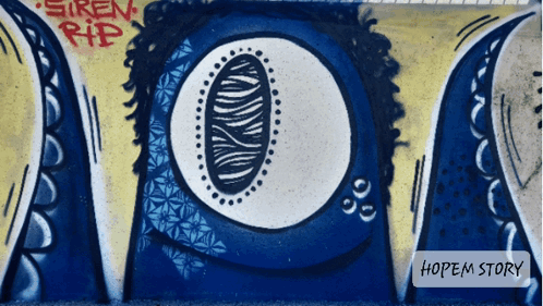 Graffiti On A Wall That Says Siren Rip GIF