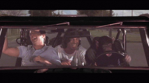 Grandmas Boy Monkey Driving Car GIF